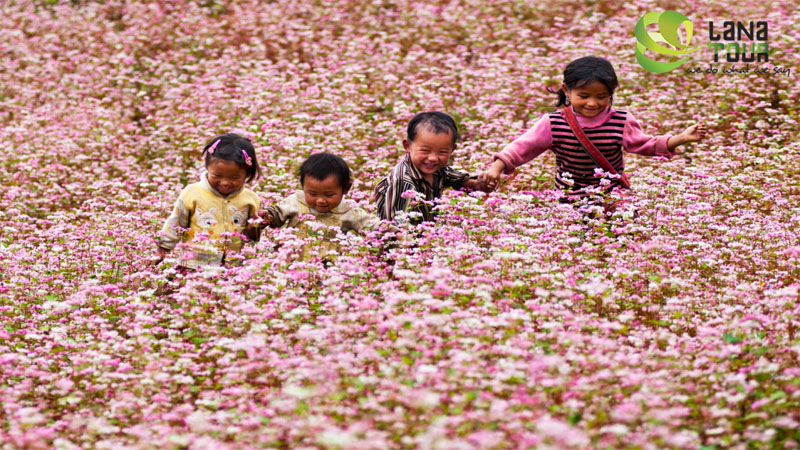 Ha Giang